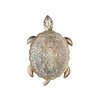 Бра Favourite(Turtle) 2256-1W