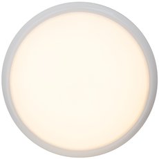 Круглый настенно-потолочный светильник Brilliant G94141/05