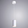 Светильник Arte Lamp(CANOPUS) A1516SP-1WH