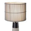 Настольная лампа Globo(Pantani) 24139T