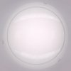 Настенно-потолочный светильник Citilux CL917081 Лайн