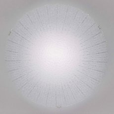 Круглый настенно-потолочный светильник Citilux CL918002