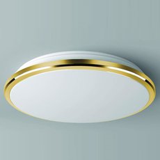 Светильник для ванной комнаты Citilux CL702302W
