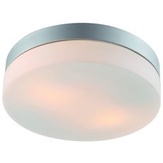 Светильник для ванной комнаты накладные светильники Arte Lamp A3211PL-2SI