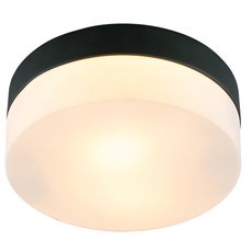 Светильник для ванной комнаты потолочные светильники Arte Lamp A6047PL-1BK