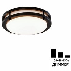 Светильник для ванной комнаты потолочные светильники Citilux CL709205N