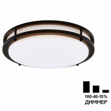 Светильник для ванной комнаты потолочные светильники Citilux CL709325N