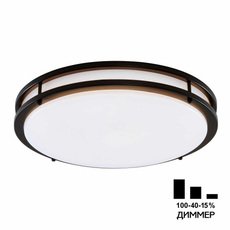 Светильник для ванной комнаты потолочные светильники Citilux CL709505N
