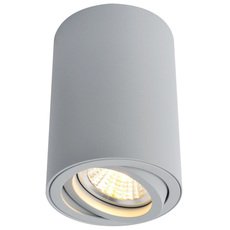 Точечный светильник Arte Lamp(SENTRY) A1560PL-1GY