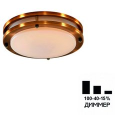 Светильник для ванной комнаты потолочные светильники Citilux CL709203N