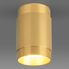 Накладный точечный светильник Elektrostandard DLN109 GU10 золото