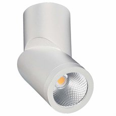 Влагозащищенный точечный светильник ST LUCE ST650.532.10
