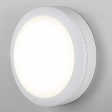 Светильник для уличного освещения накладные светильники Elektrostandard LTB51 LED Светильник 15W 4200K Белый