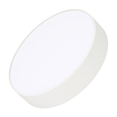 Светильник для ванной комнаты потолочные светильники Arlight 035534 (SP-RONDO-R250-20W Day4000)