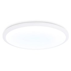 Светильник для ванной комнаты потолочные светильники Ambrella Light FZ1232