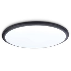 Светильник для ванной комнаты потолочные светильники Ambrella Light FZ1235