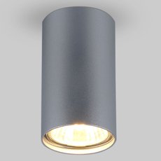 Накладный точечный светильник Elektrostandard 1081 GU10 SL серебро (5257)