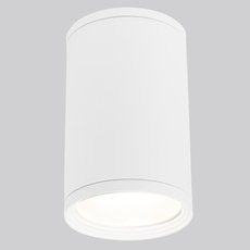 Влагозащищенный точечный светильник Elektrostandard Light 2101 (35128/H) белый