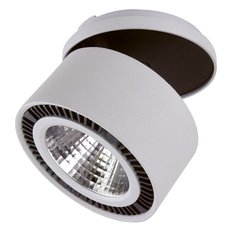 Технический точечный светильник Lightstar 214829