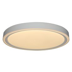 Светильник для ванной комнаты потолочные светильники Zortes ZRS.1200.04