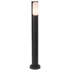 Светильник для уличного освещения с арматурой чёрного цвета, пластиковыми плафонами Brilliant 43585/63