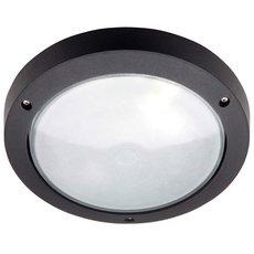 Светильник для ванной комнаты с арматурой чёрного цвета Brilliant 48480/06