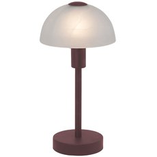 Декоративная настольная лампа Brilliant 77347/20