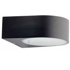 Светильник для уличного освещения с арматурой чёрного цвета, стеклянными плафонами Brilliant 96104/06