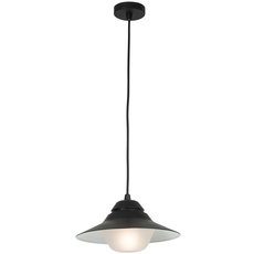Светильник для уличного освещения с арматурой чёрного цвета, плафонами белого цвета Brilliant 96243/63