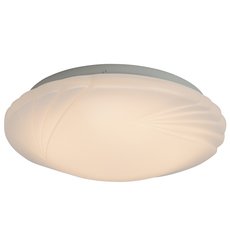 Настенно-потолочный светильник с плафонами белого цвета Brilliant G94216/05