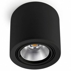 Точечный светильник с арматурой чёрного цвета, стеклянными плафонами Leds-C4 90-2995-60-DU