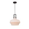 Светильник Arte Lamp A3624SP-1WH Lotte