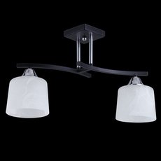 Светильник с арматурой чёрного цвета, плафонами белого цвета Colosseo 73002/2C