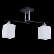 Светильник с арматурой чёрного цвета, плафонами белого цвета Colosseo 73003/2C
