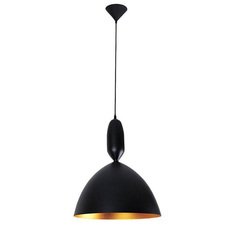 Светильник с арматурой чёрного цвета, металлическими плафонами Spot Light 5185104
