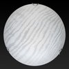 Настенно-потолочный светильник Toplight(Calista) TL9491Y-00WH