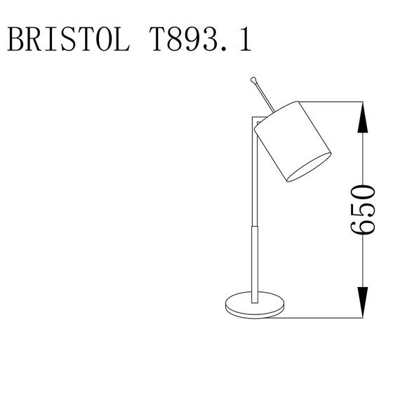 Bristol t893 1 2