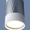 Точечный светильник Elektrostandard DLN110 GU10 белый/серебро