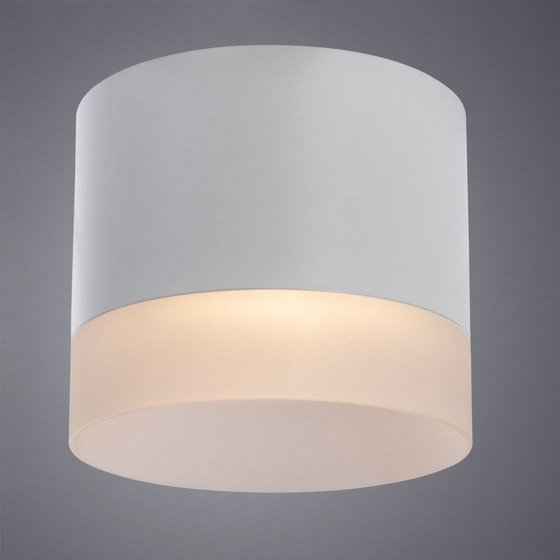 Potolochnyy svetilnik arte lamp castor a5554pl 1wh 2