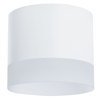 Точечный светильник Arte Lamp(CASTOR) A5554PL-1WH