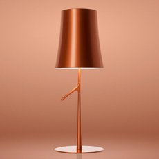 Настольная лампа Foscarini 221001S 80