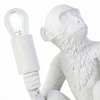 Настольная лампа EVOLUCE(TENATO) SLE115104-01