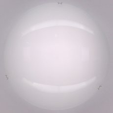 Настенно-потолочный светильник с стеклянными плафонами белого цвета Citilux CL917000