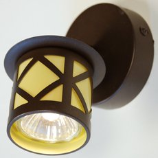 Спот с арматурой коричневого цвета, металлическими плафонами Citilux CL536511