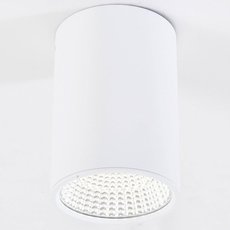 Точечный светильник с арматурой белого цвета Citilux CL558100