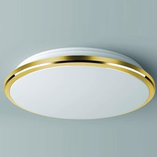 Светильник для ванной комнаты Citilux CL702162W