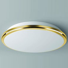 Светильник для ванной комнаты с плафонами белого цвета Citilux CL702222W