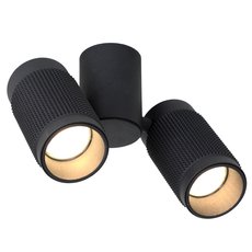 Точечный светильник с металлическими плафонами чёрного цвета Favourite 2452-2U