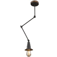 Светильник с арматурой коричневого цвета, металлическими плафонами Favourite 1476-1P