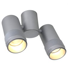 Точечный светильник с плафонами серебряного цвета Favourite 2454-2U